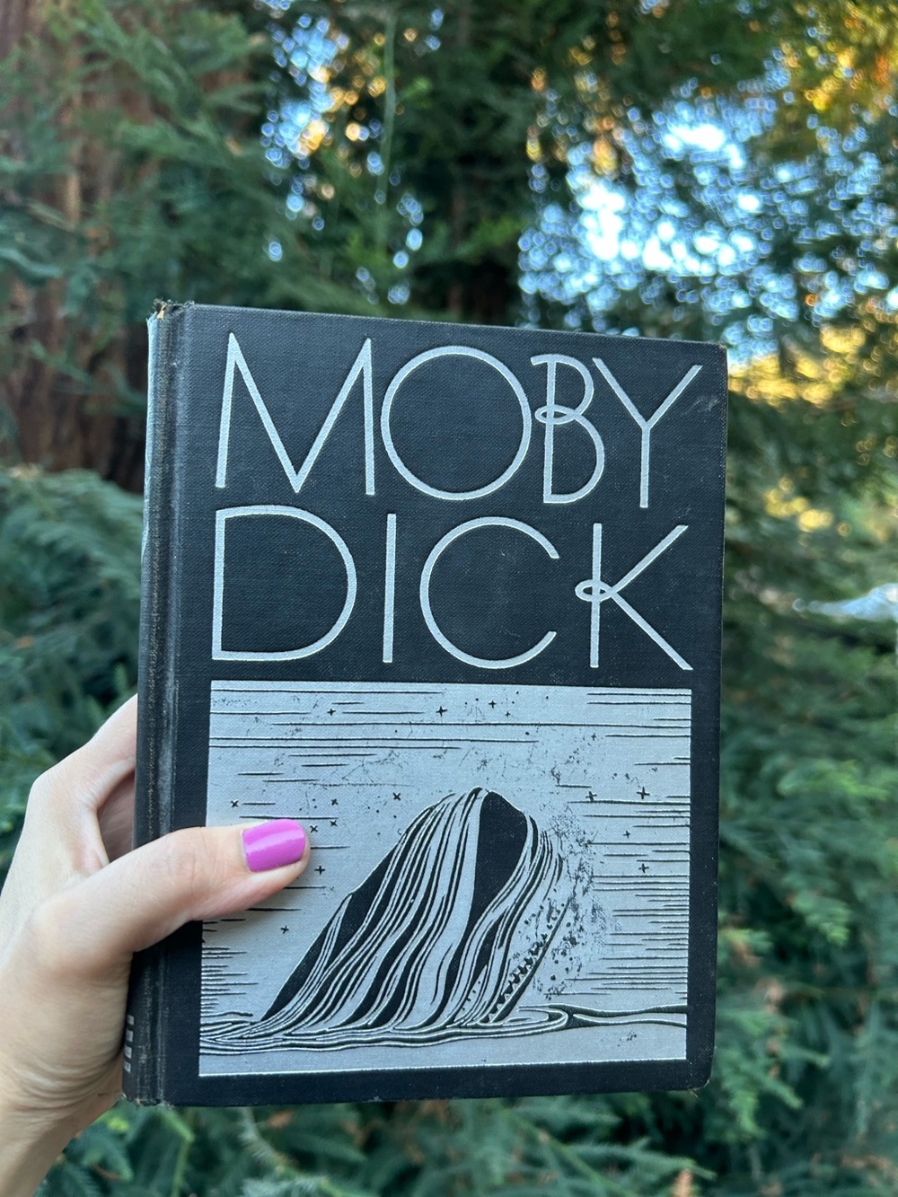 Moby Dick by Herman Melville Illustrated by Rockwell Kent iconic black-and-white